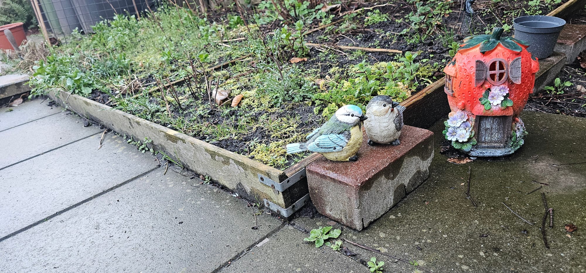 spring, gardening